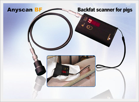 Anyscan BF  Made in Korea